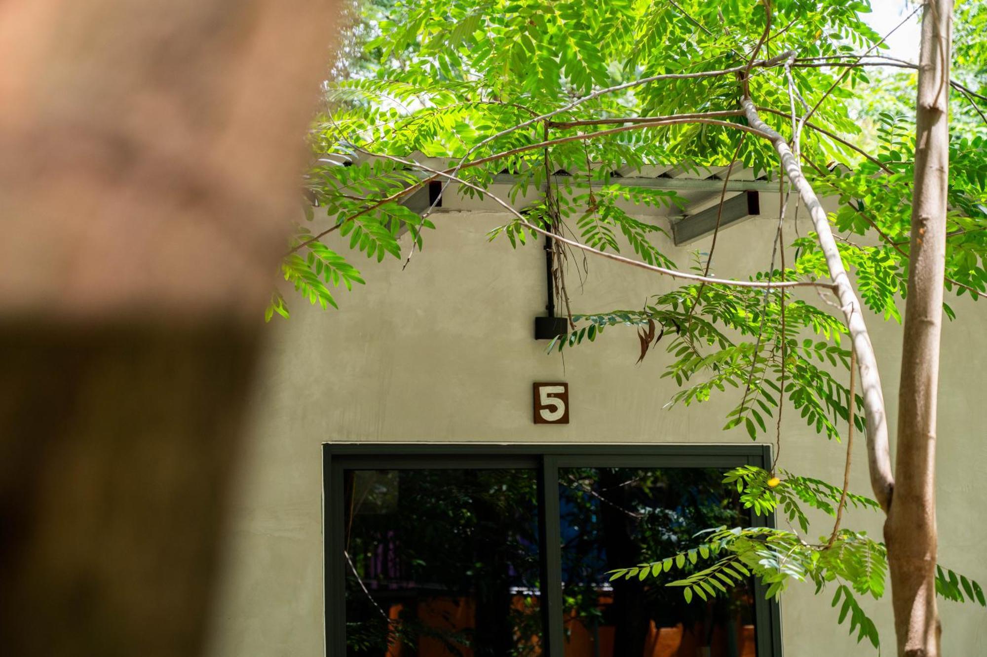 Banyan Tree Hostel Kampot Exterior photo